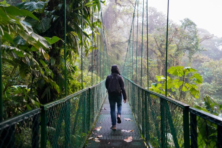 j-amill-santiago-ddBcLFDAO4g-unsplash